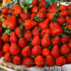 Baguio Strawberry
